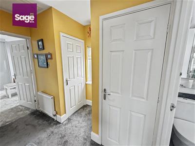 Picture 21